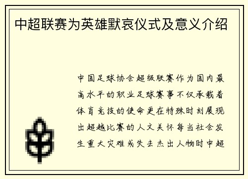 中超联赛为英雄默哀仪式及意义介绍